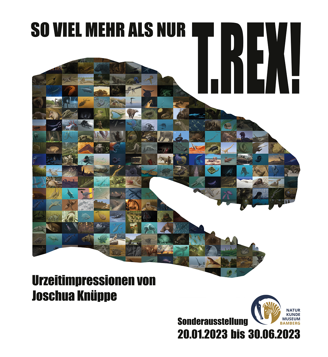 Medienportal Bamberg