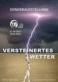 Sonderausstellung Versteinertes Wetter im Naturkundemuseum Bamberg