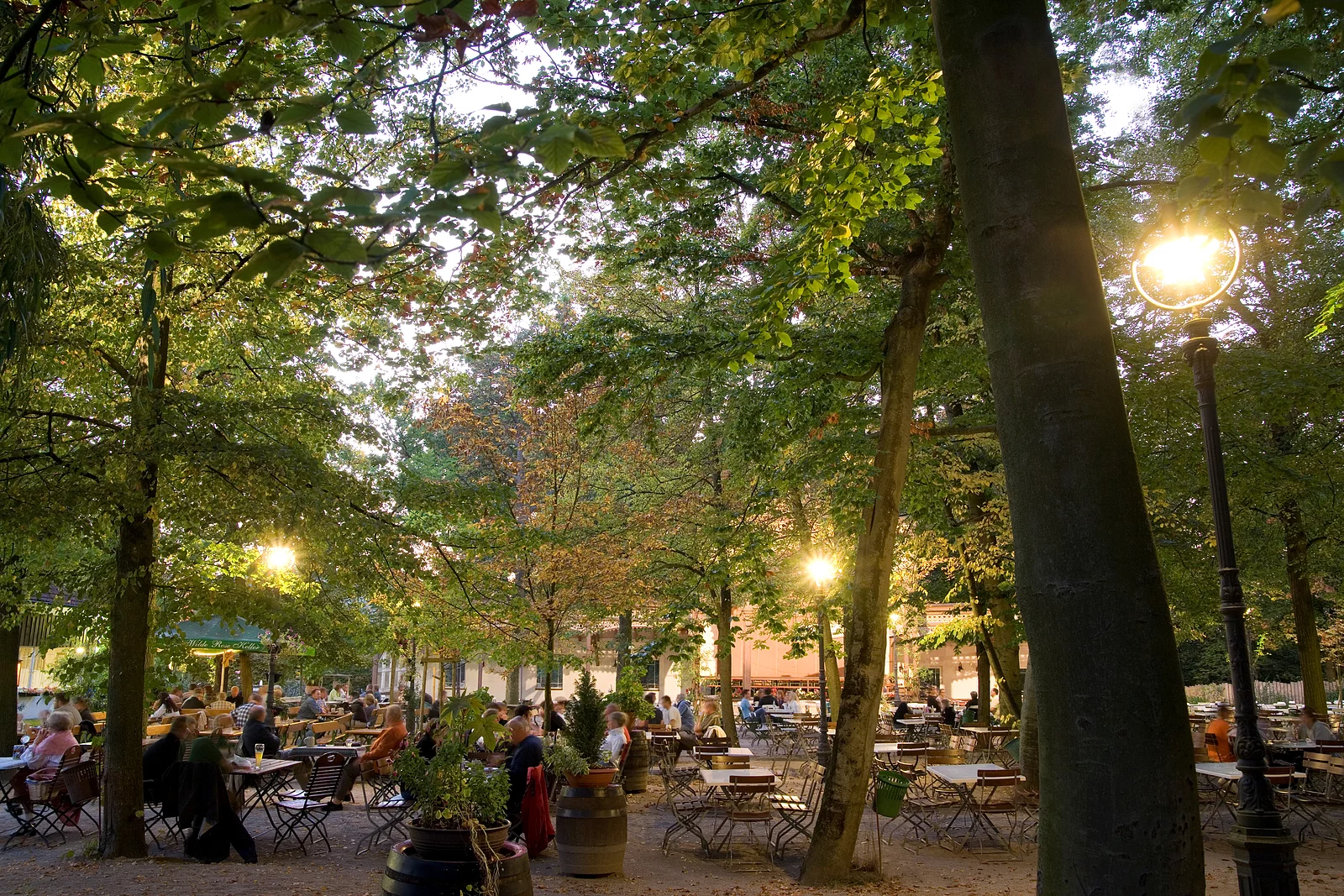 Abenstimmung im Wilde Rose Keller in Bamberg (Feldrapp-Pics 004)