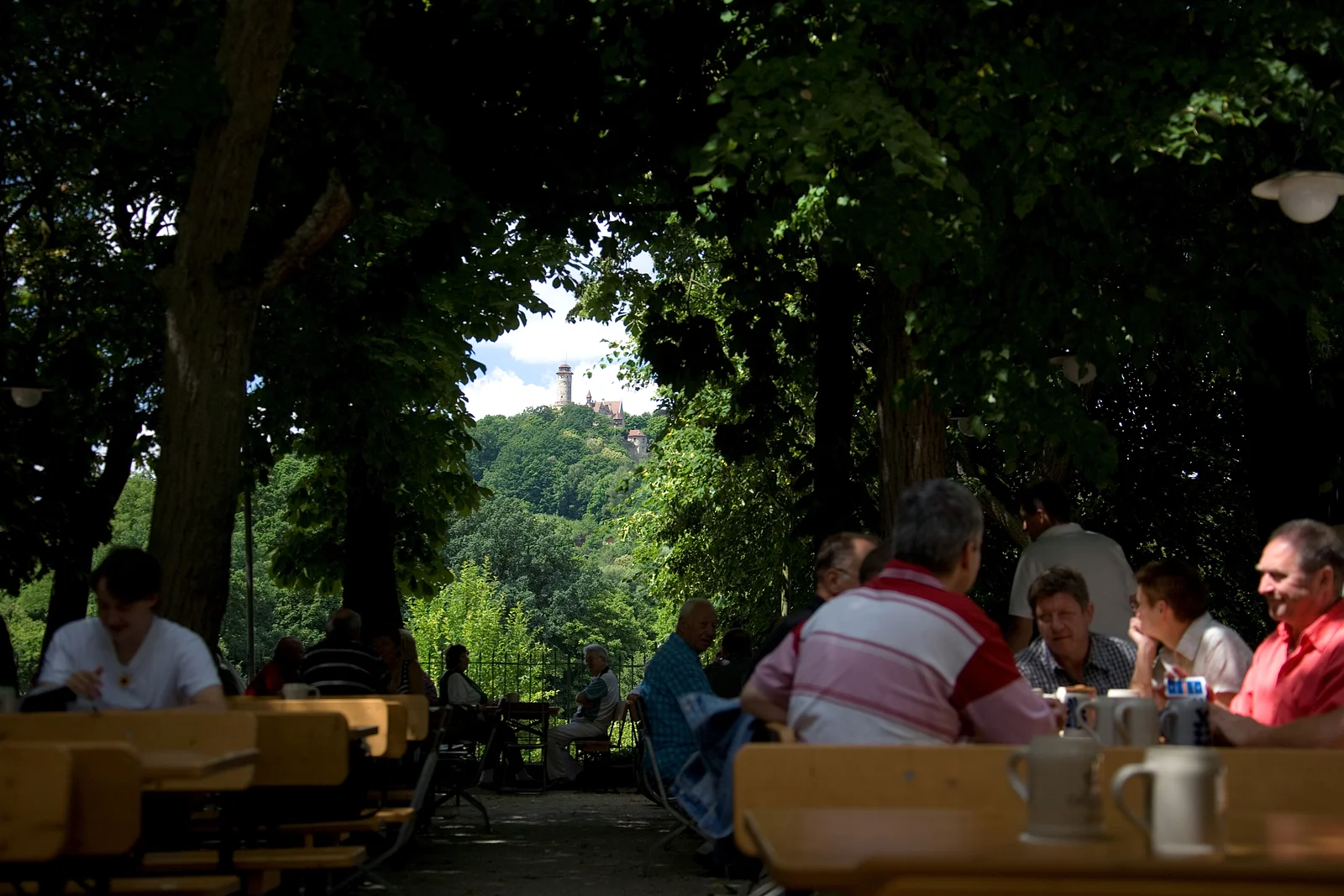 Ausblick zur Altenburg vom Keller der Brauerei Greifenklau in Bamberg (Feldrapp-Pics 003)